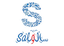 Salo logo